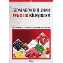 Gıdalarda Bulunan Fenolik Bileşikler