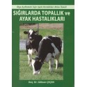 Sığırlarda Topallık ve Ayak Hastalıkları