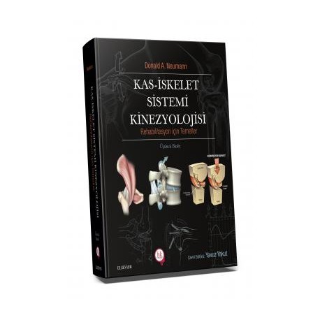 Kas İskelet Sistemi Kinezyolojisi