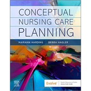 Conceptual Nursing Care Planning