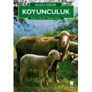 Koyunculuk