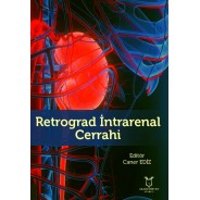 Retrograd İntrarenal Cerrahi