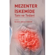 Mezenter İskemide Tanı ve Tedavi