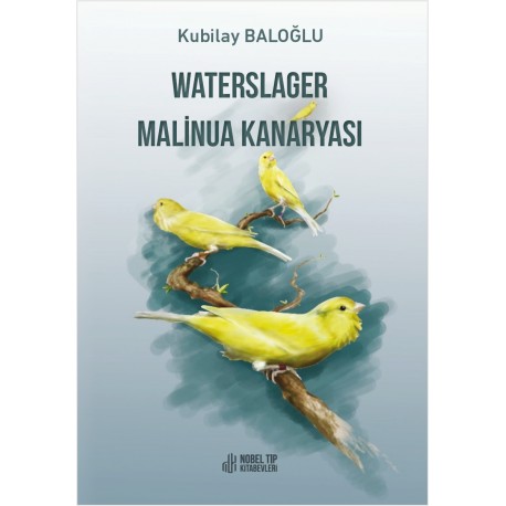 Waterslager Malinua Kanaryası: Ötümü-Bakımı-Eğitimi-Beslenmesi ve Hastalıkları