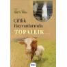 Çiftlik Hayvanlarında Topallık