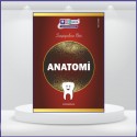 2023 - DUS Şampiyonların Notu - Anatomi