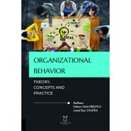Organizational Behavior: Theory, Concepts and Practice