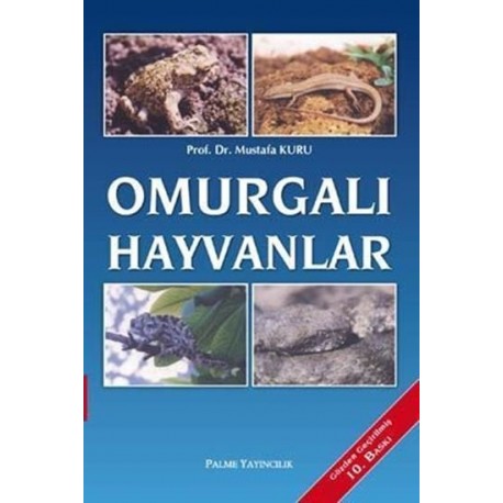 Omurgalı Hayvanlar