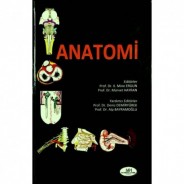 Anatomi / Hacettepe