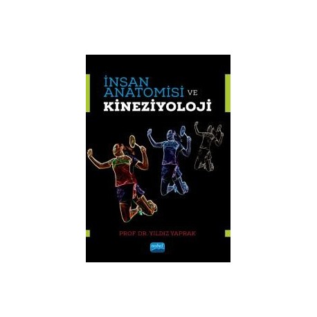 İnsan Anatomisi ve Kineziyoloji