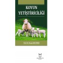 Koyun Yetiştiriciliği