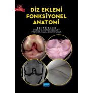 Diz Eklemi Fonksiyonel Anatomi