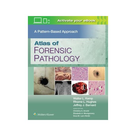 Atlas of Forensic Pathology: A Pattern Based Approach