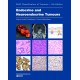 Endocrine and Neuroendocrine Tumours WHO Classification of Tumours, 5th