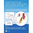 Endovascular and Open Vascular Reconstruction A Henry Ford Surgical Guide,2nd Edition