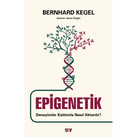 Epigenetik - Deneyimler Kalıtımla Nasıl Aktarılır? Epigenetik - Deneyimler Kalıtımla Nasıl Aktarılır?