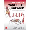 Gateways in Vascular Surgery: An Operative Atlas