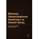 Ebeveyn Yabancılaştırma Sendromu ve Hukuki Süreç