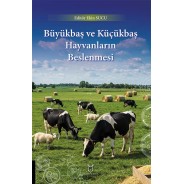 Büyükbaş ve Küçükbaş Hayvanların Beslenmesi