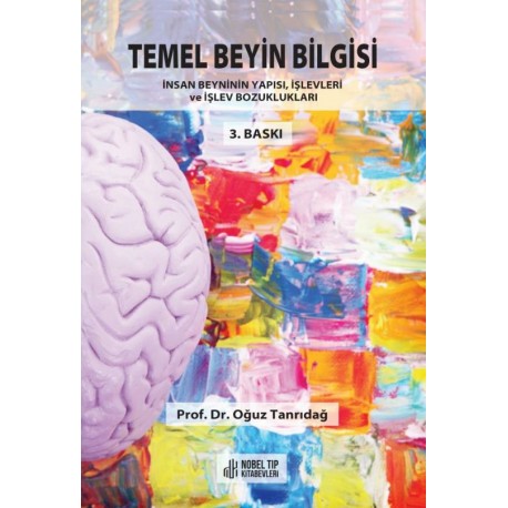 Temel Beyin Bilgisi: İnsan Beyninin Yapısı, İşlevleri ve İşlev Bozukluğu