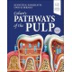 Cohen's Pathways of the Pulp, 13th Edition