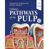 Cohen's Pathways of the Pulp, 13th Edition