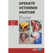 Operatif Veteriner Anatomi