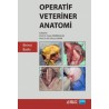 Operatif Veteriner Anatomi