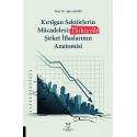 Kırılgan Sektörlerin Mücadelesi Türkiye’de Şirket İflaslarının Anatomisi