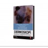 Dermoskopi Kriterlerin Değerlendirilmesi