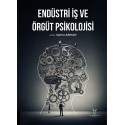 Endüstri İş ve Örgüt Psikolojisi