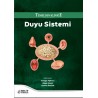 Temelden Kliniğe Duyu Sistemi