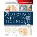 Atlas of Pain Injection Techniques: Expert Consult: Online and Print 2nd Edition