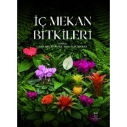 İç Mekan Bitkileri