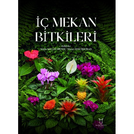 İç Mekan Bitkileri