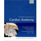 Oxford Textbook of Cardiac Anatomy