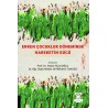 Erken Çocukluk Döneminde Hareketin Gücü