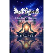 İçsel Sığınak Bedenin Bilgeliği ve Zihnin Huzuru İçin Bir Yaşam Rehberi