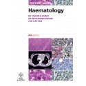 Lecture Notes: Haematology 8th Edition