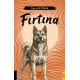 Fırtına