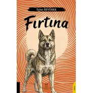 Fırtına