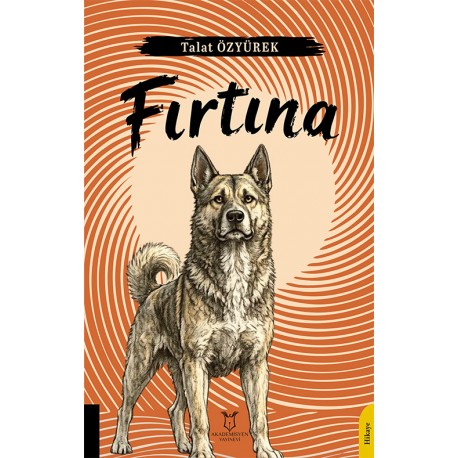 Fırtına