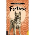 Fırtına