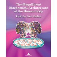 The Magnificent Biochemical Architecture of the Human Body