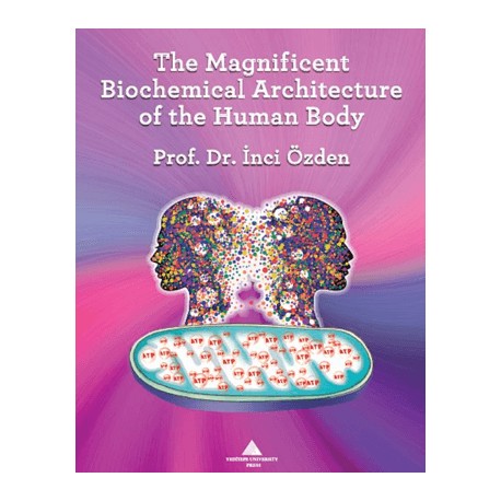 The Magnificent Biochemical Architecture of the Human Body