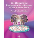 The Magnificent Biochemical Architecture of the Human Body